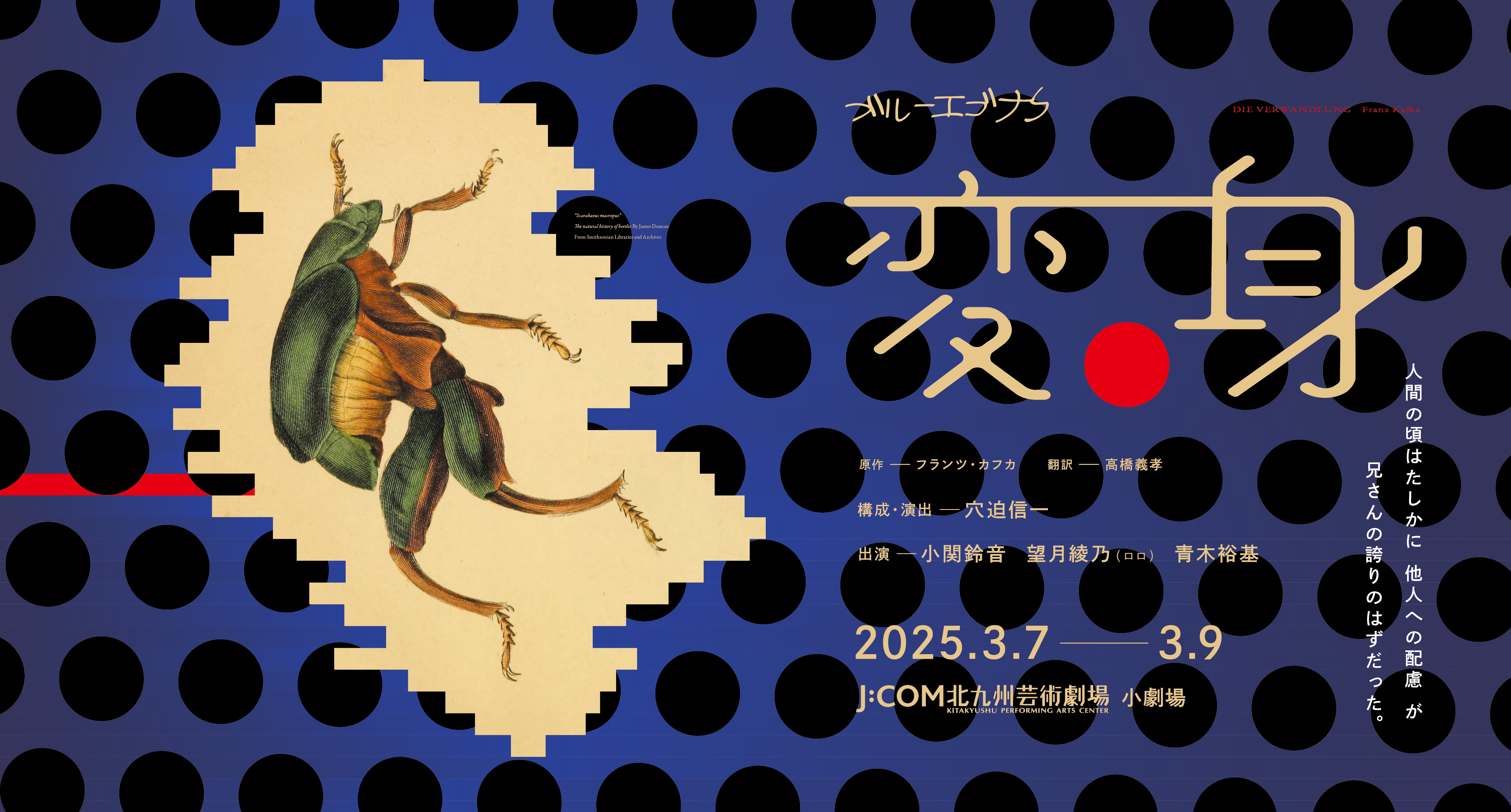 ブルーエゴナク 『変身』 | 北九州芸術劇場